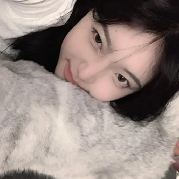 恐动雪梨